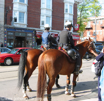 The Beaches Queen Street Police Toronto