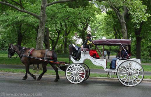 Central Park Horse Carriage New York